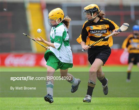 Michael Davitt's, Co. Derry v Lismore, Co. Waterford - Feile na nGael Camogie Finals - Division 2 Final