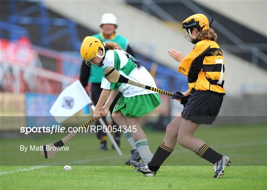 Michael Davitt's, Co.Derry v Lismore, Co. Waterford - Feile na nGael Camogie Finals - Division 2 Final
