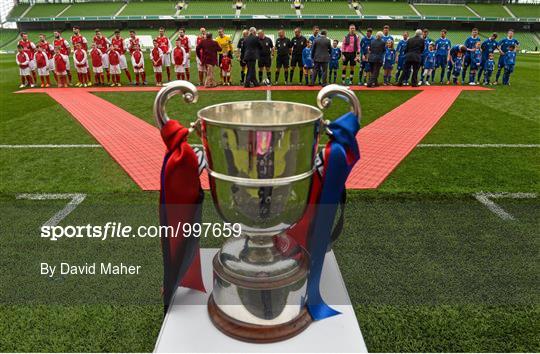 Tolka Rovers v Crumlin United - FAI Umbro Intermediate Cup Final
