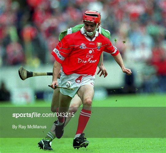 Cork v Limerick - Guinness Munster Senior Hurling Championship Semi-Final