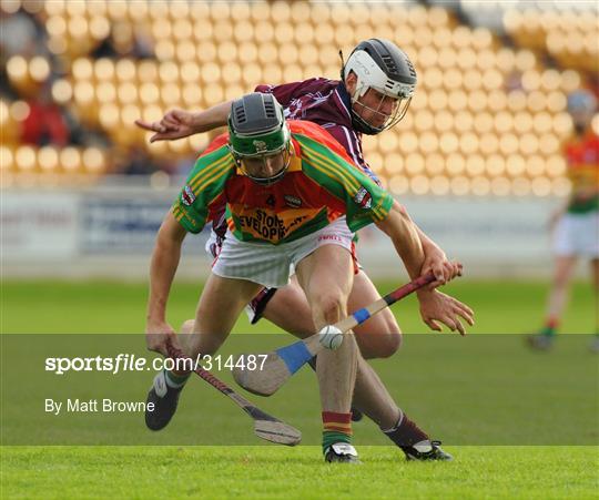 Westmeath v Carlow - Christy Ring Cup Final