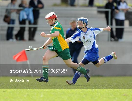 Offaly v Waterford - All-Ireland Minor B Championship Final