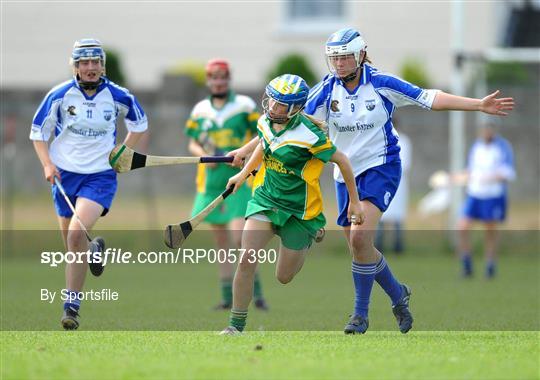 Offaly v Waterford - All-Ireland Minor B Championship Final