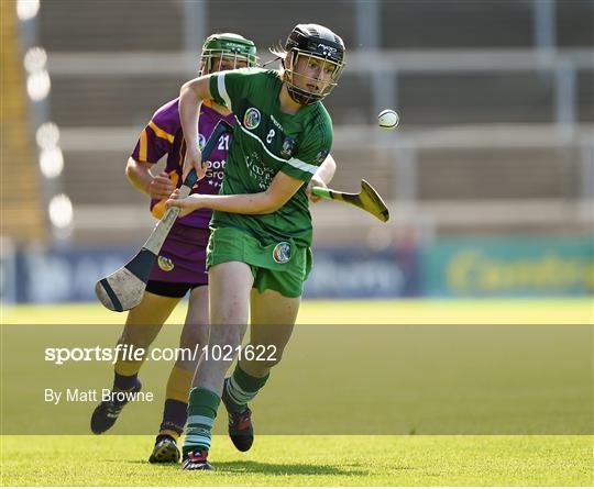 Wexford v Limerick - Liberty Insurance Camogie Championship Wexford v Limerick - Liberty Insurance Camogie Championship