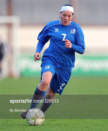 Republic of Ireland v Iceland - Euro 2009 C'ship Play-Offs, 1st Leg