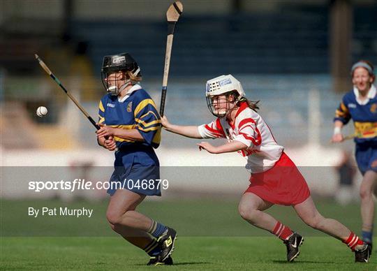 Tipperary v Cork - All-Ireland Senior Camogie Championship Final