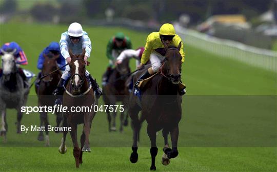 Racing from the Curragh
