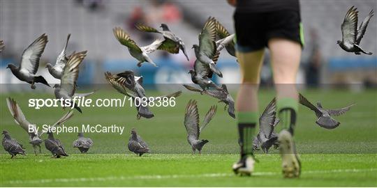 Kerry v Mayo - GAA Football All-Ireland Junior Championship Final