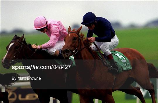 Racing from the Curragh