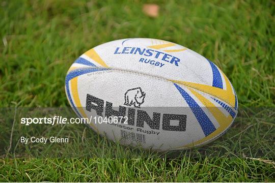Bank of Ireland Leinster Rugby School of Excellence - Kings Hospital