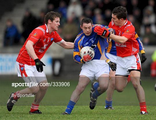 Louth v Wicklow - O'Byrne Cup Semi-Final