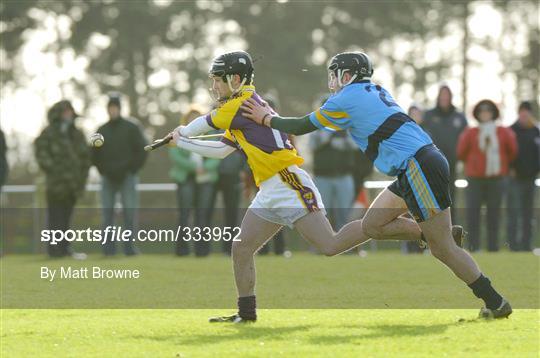 Wexford v UCD - Walsh Cup