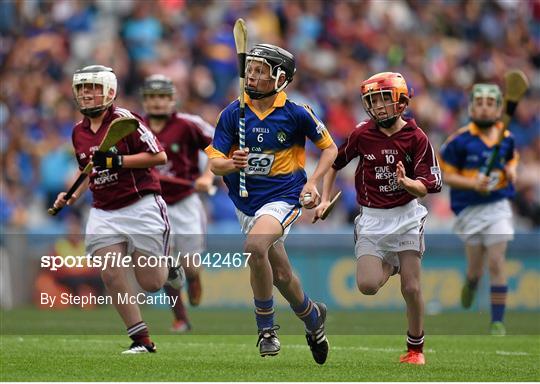 Cumann na mBunscol INTO Respect Exhibition Go Games 2015 at Tipperary v Galway - GAA Hurling All-Ireland Senior Championship Semi-Final