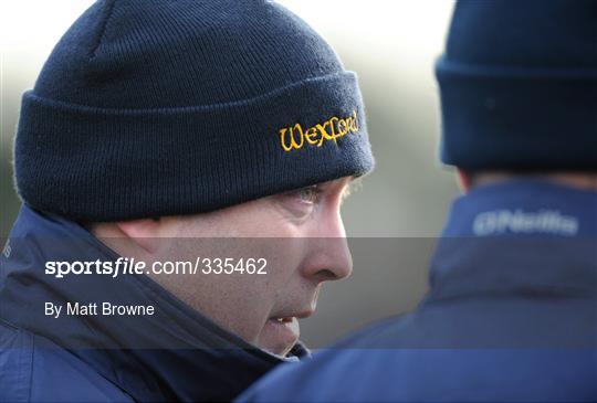 Wexford v UCD - Walsh Cup