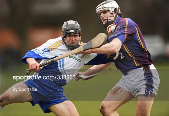 DIT v UL - Ulster Bank Fitzgibbon Cup Round 3