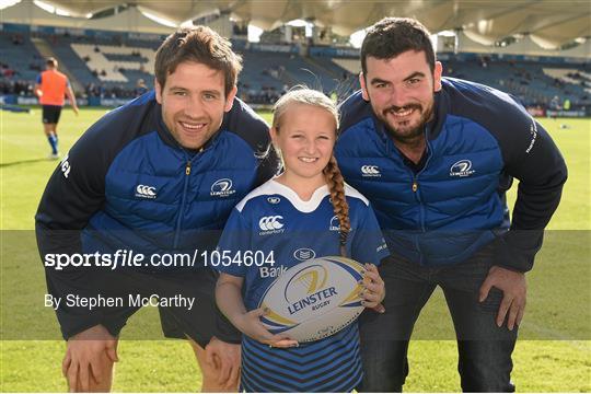 Mascots at Leinster v Cardiff Blues - Guinness PRO12 Round 2