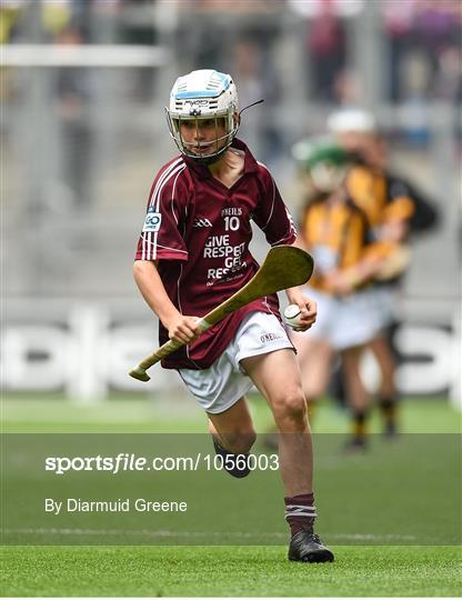 Kilkenny v Galway - GAA Hurling All-Ireland Senior Championship Final Kilkenny v Galway - GAA Hurling All-Ireland Senior Championship Final