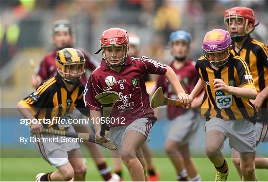 Kilkenny v Galway - GAA Hurling All-Ireland Senior Championship Final Kilkenny v Galway - GAA Hurling All-Ireland Senior Championship Final