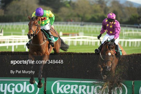 Horse Racing from Punchestown - Tuesday