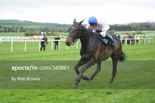 Horse Racing from Punchestown - Wednesday