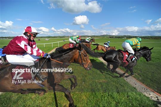 Horse Racing from Punchestown - Thursday
