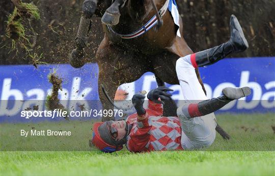 Horse Racing from Punchestown - Friday