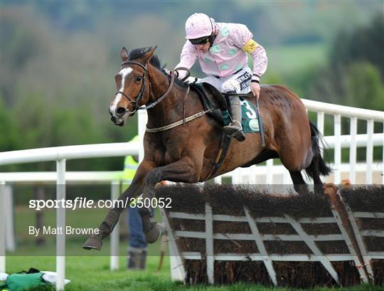 Horse Racing from Punchestown - Friday