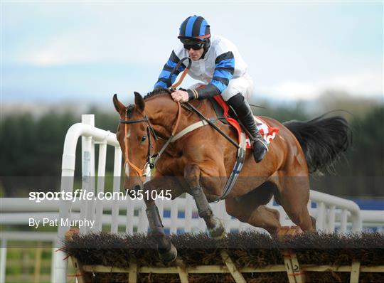 Horse Racing from Punchestown - Tuesday