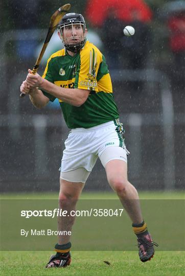 Carlow v Kerry - Christy Ring Cup Semi-Final Carlow v Kerry - Christy Ring Cup Semi-Final