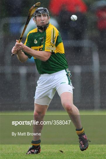 Carlow v Kerry - Christy Ring Cup Semi-Final