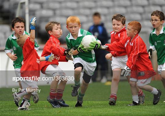 Leinster GAA Go Games ‘Play & Stay with the GAA’ activity day