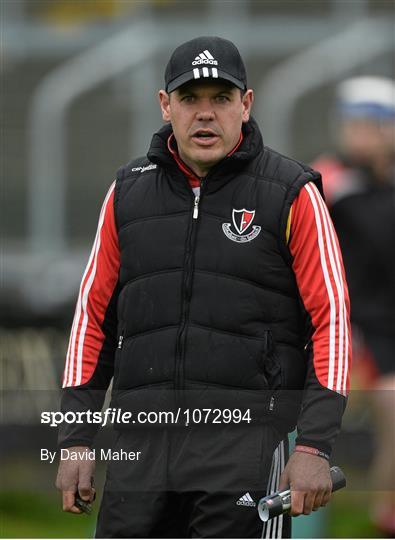 Clough Ballacolla v Oulart the Ballagh - AIB Leinster GAA Hurling Senior Club Championship Quarter-Final