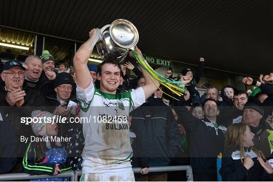 Craughwell v Sarsfields - Galway County Senior Hurling Championship Final Replay