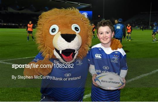 Mascots at Leinster v Ulster - Guinness PRO12 Round 8