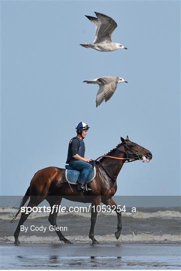 Sportsfile Best of 2015