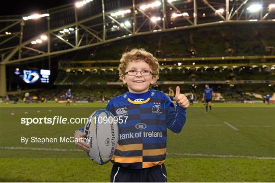 Mascots at Leinster v RC Toulon - European Rugby Champions Cup
