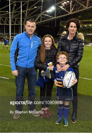 Mascots at Leinster v RC Toulon - European Rugby Champions Cup