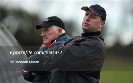 Cork v Limerick - McGrath Cup Football Group B Round 1