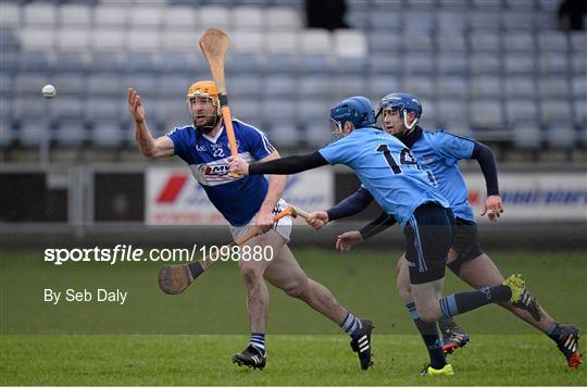 Laois v Dublin - Bord na Mona Walsh Cup Group 2