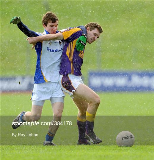 Wolfe Tones v Senechalstown - Meath County Senior Football Final