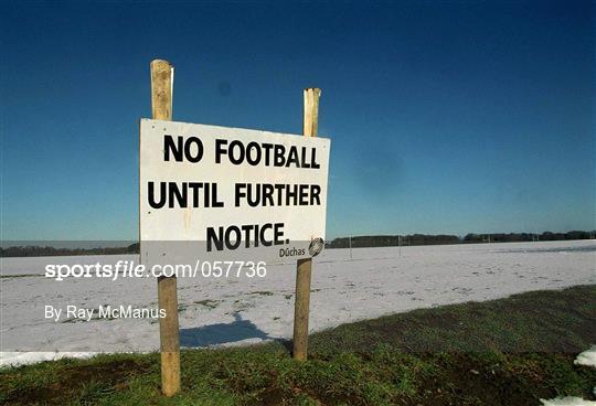 Irish Sport Suspended Due To Foot and Mouth Disease