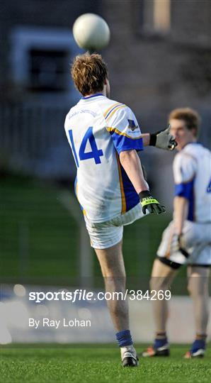 Wolfe Tones v Senechalstown - Meath County Senior Football Final