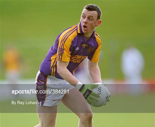 Wolfe Tones v Senechalstown - Meath County Senior Football Final