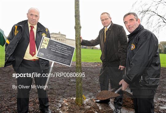 GAA 125th Anniversary marked by Tree Planting at Stormont