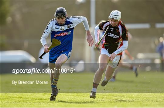 St Pat’s-Mater Dei v IT Carlow - Independent.ie HE GAA Fitzgibbon Cup Group B Round 2