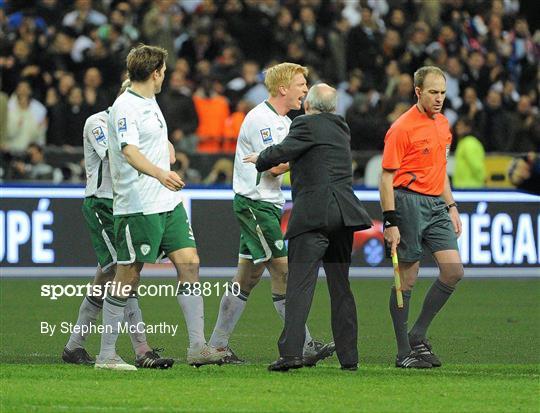 France v Republic of Ireland - FIFA 2010 World Cup Qualifying Play-off 2nd Leg France v Republic of Ireland - FIFA 2010 World Cup Qualifying Play-off 2nd Leg