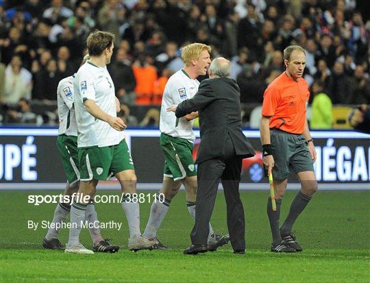 France v Republic of Ireland - FIFA 2010 World Cup Qualifying Play-off 2nd Leg