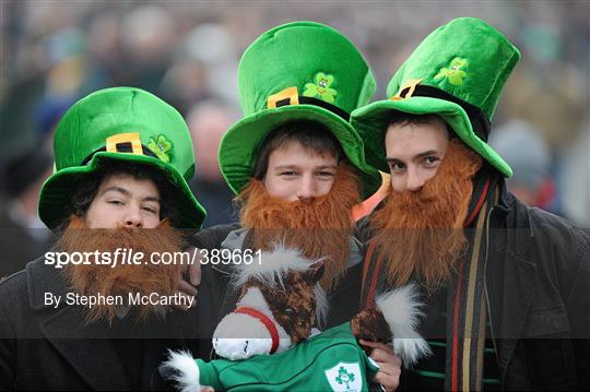 Supporters at the Ireland v South Africa Match