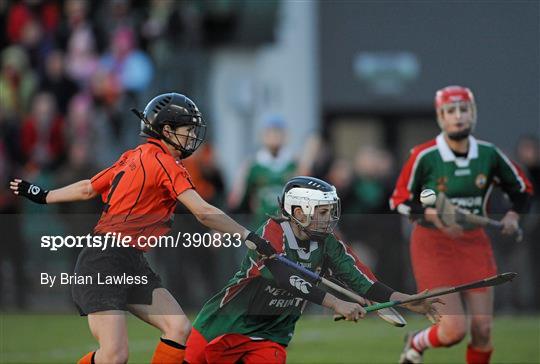 Lavey, Derry v St Anne's Dunhill, Waterford - All-Ireland Junior Camogie Club Championship Final