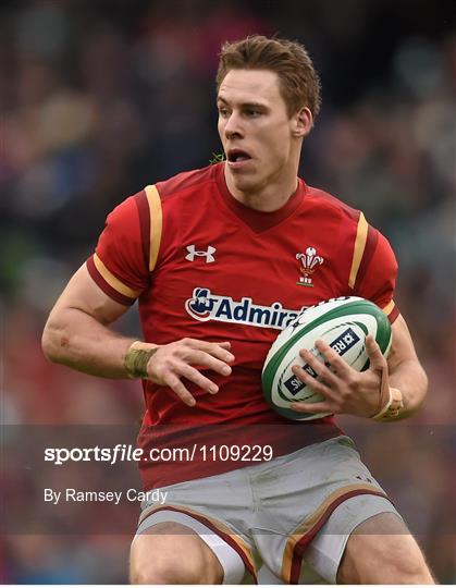 Ireland v Wales - RBS Six Nations Rugby Championship 2016